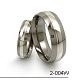 titanium ring with white gold inlay